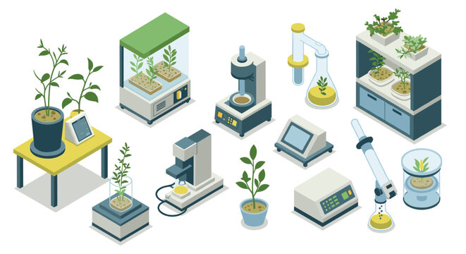 Innovative isometric lab equipment with plants and growth technology