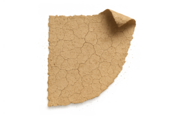 Old parchment paper texture showing a curled corner and cracked dry surface, isolated element on transparent background