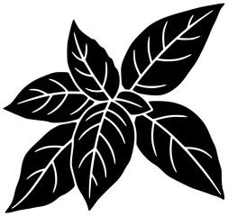 herb illustration fresh silhouette green logo leaf icon basil outline raw plant ingredient culinary aromatic vegetarian spice white leaves shape cooking vector graphic background