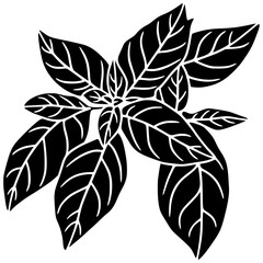 herb illustration fresh silhouette green logo leaf icon basil outline raw plant ingredient culinary aromatic vegetarian spice white leaves shape cooking vector graphic background