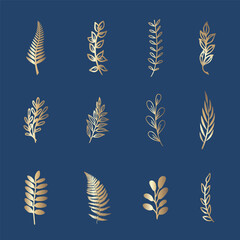 Set of minimal botanical graphic sketch drawing, trendy tiny tattoo design, floral elements