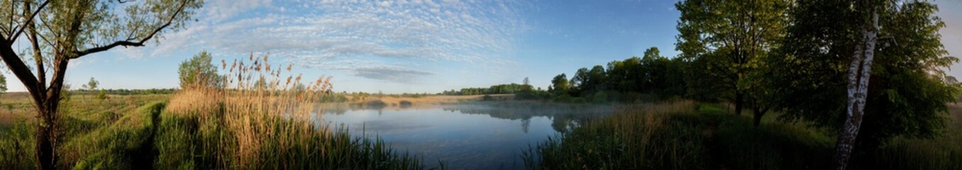 Panorama of forest lakes in spring, young leaves and freshly blossomed buds of trees and shrubs