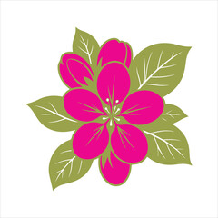 Apple Blossom Flower Vector Illustration with Leaves – Pink Floral Design