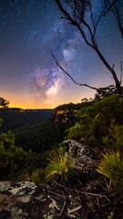 Starry night sky over dark wooded hills with faint light below horizon, trees framing a rocky edge