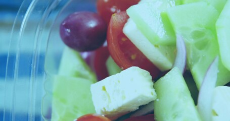 Showing salad at deli with clear plastic clamshell rim cucumber cherry tomatoes grape feta onion © vectorfusionart
