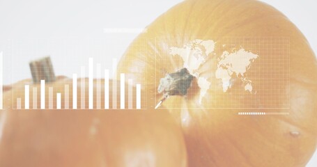 Framing large yellow-brown onion with stem and papery skin in studio, showing HUD bar chart © vectorfusionart