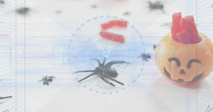 Centering black spider lying within radar markings on white tabletop, with orange pumpkin container