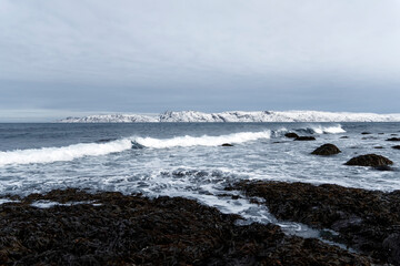 dramatic wide angle view of black lava pebble beach with snow. Arctic Ocean.