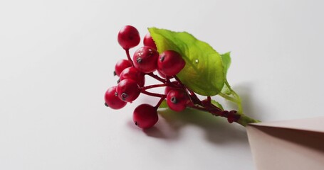 Displaying glossy red berry cluster resting on white surface, showing leaf and envelope, copy space