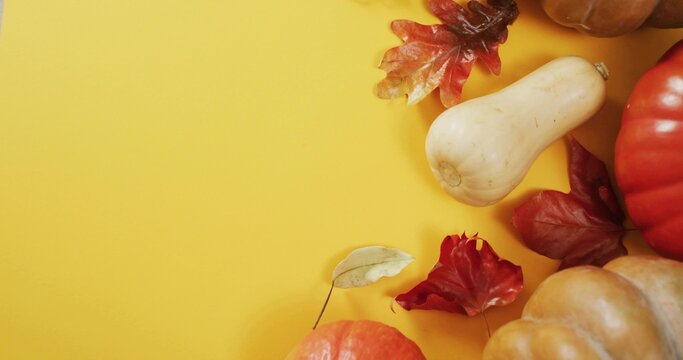 Displaying orange pumpkins, butternut squash and dried maple leaves on yellow surface, copy space - Powered by Adobe