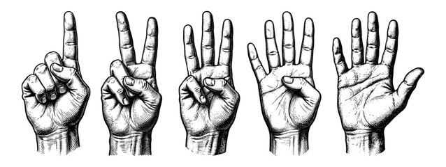 Fototapeta premium Set of hands counting from one to five in vintage style