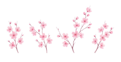Elegant cherry blossom branches in soft pink watercolor style. Perfect for spring designs, decor, stationery, and nature-inspired projects. Delicate, romantic, and culturally symbolic.