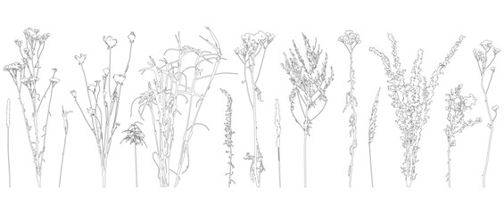 Set of contours different plants and weeds. Vector illustration.