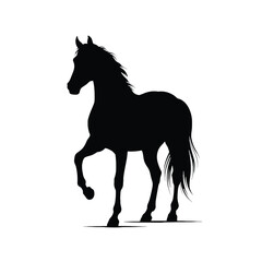 A striking silhouette of a majestic horse in a dynamic pose