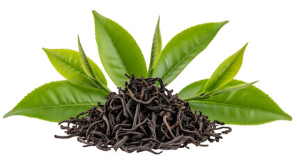 Black tea leaves and fresh green leaves isolated on transparent background