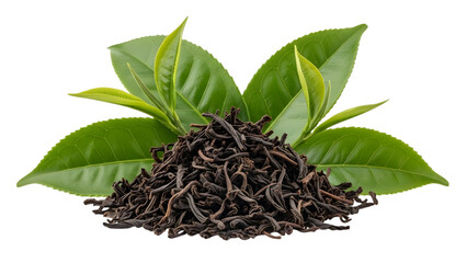 Pile of black tea with green leaves isolated on transparent background