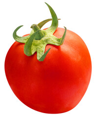 Fresh Red ripe tomato isolated on white background with clipping path PNG File.
