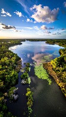 Aerial view of tranquil lake surrounded by dense forest, under a bright blue sky dotted with fluffy white clouds