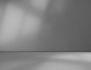 Grey wall shadow background kitchen floor white abstract studio concrete table white texture light texture mockup product marble room display plant cement minimal shelft bar leaves backdrop