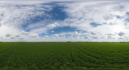 Obraz premium Panoramic view of a vast green field under a partly cloudy sky