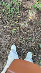 walking on the grass