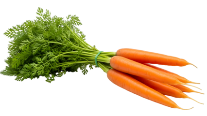 Fresh carrots with green tops isolated on transparent background