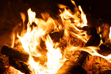 Horizontal Background of Firewood Heating up with Bright Flames.