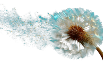 Whispers of Wish Dandelion in Dream Seeds of Light Mystical Bloom Night Garden Floral Art