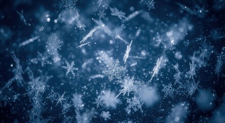 Sparkling snowflakes and frosty ice crystals on blue