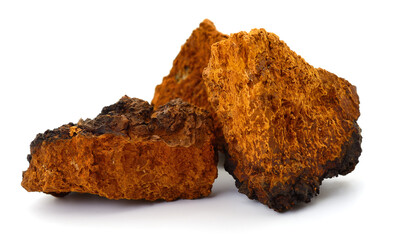 Chaga mushroom (Inonotus obliquus) pieces isolated on a white background