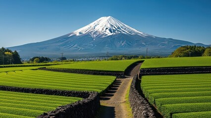 Naklejka premium Mount Fuji a snow-capped volcano in Japan rises above green tea fields under a clear blue sky a scenic landscape