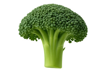 Fresh green broccoli floret representing healthy eating, organic produce and vegan diet concepts on transparent background