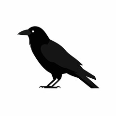 Obraz premium Stylized Black Crow with White Eye, Standing Profile View, Vector Illustration