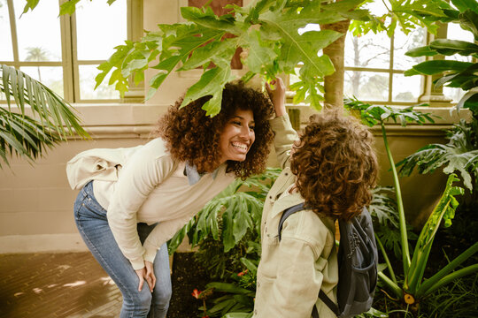 A mother stands hunched over and laughs while her son stands opposite her, touching a leaf of a plant above him