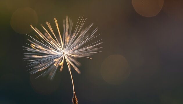 Close Up of Sparkler Firework with Bright Golden Sparks and Bokeh Background