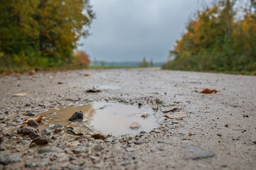 Autumnal and wet country road.