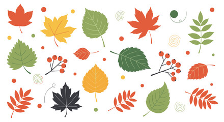 A collection of colorful autumn leaves and rowan berries with decorative elements, isolated on a clean white background.