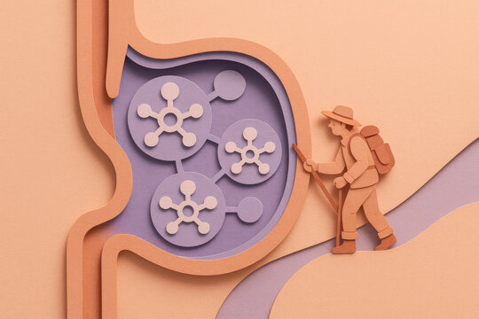 Curious paper cut artwork of miniature explorer discovering an appendix pocket. Medical illustration shows immune node symbols with peach and lilac color palette and background