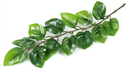 Fototapeta premium From vertical garden walls to small potted accents, artificial foliage offers design flexibility and a polished look that lasts through time and trends. 