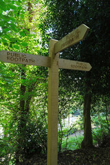 Wooden Public Footpath Signpost in a Dense Forest or Woodland