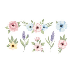 flowers on PNG background