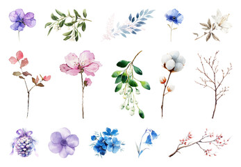 Fototapeta premium PNG Colorful watercolor floral illustrations, element set on transparent background
