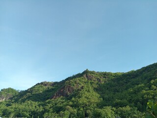 Green Tropical Hillside Landscape Under Clear Blue Sky, Rural Nature Background
