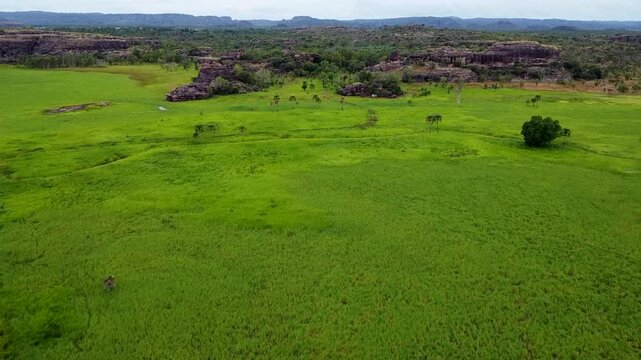 Ubirr Rock and it&acute;s surrounding vegetation in the Kakadu National Park on a cloudy day