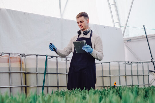 Greenhouse plant inspection, Agronomist monitors tulip growth, Crop scientist observes seedlings in controlled environment, Agronomist uses tablet and sensors to oversee plant development
