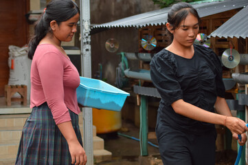 Two teenage girls in casual clothes are outside a hen coop. One in a black top holds a hose near the coop while the other in a pink top carries a blue container, assisting with feeding and watering.
