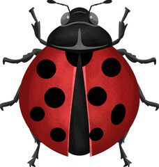 Vibrant Red Ladybug With Distinct Black Spots on a Light Background Illustrative Digital Art