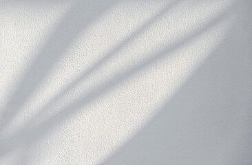 Soft plant shadows on a wall as texture or background