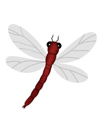 Red Dragonfly Illustration With Delicate Translucent Wings Nature's Aerial Marvel Insect Art