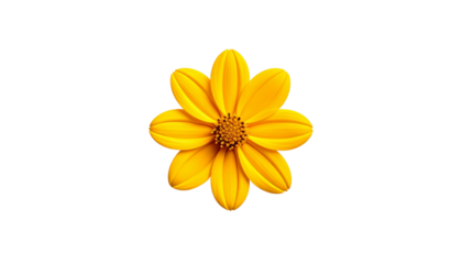 Overhead shot reveals a vibrant, sun-yellow flower isolated on solid white background Png5
